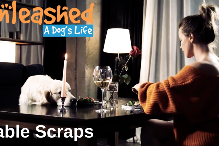Table Scraps: asset-mezzanine-16x9