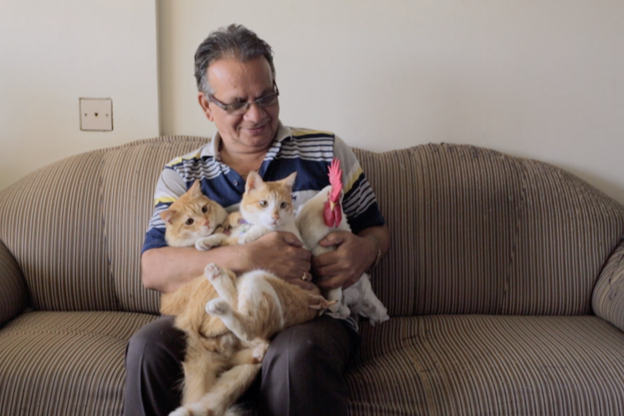 POV Shorts: Comic Culture: asset-mezzanine-16x9