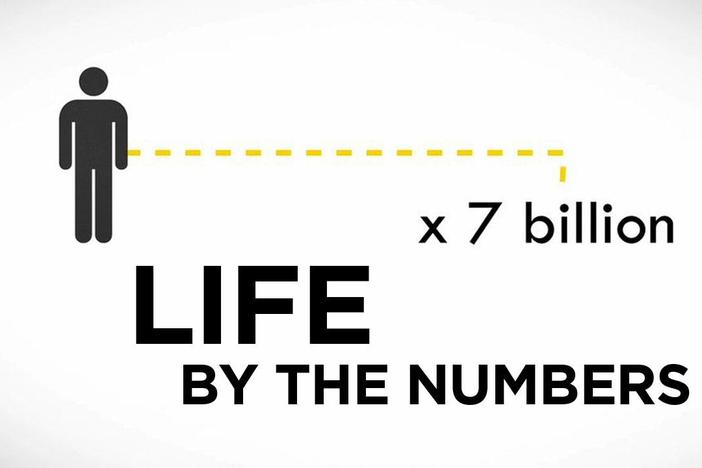 What's The Most Successful Species on Earth?: asset-mezzanine-16x9