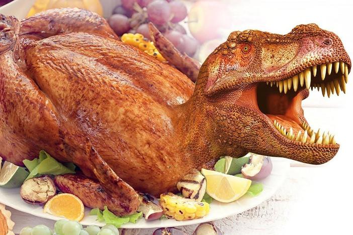 There Might Be a Dinosaur On Your Dinner Table: asset-mezzanine-16x9