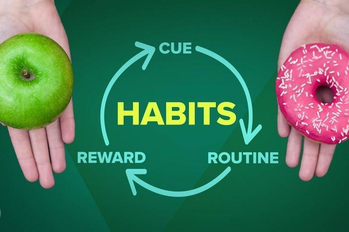 How Habits Can Change Your Life (and Your Brain): asset-mezzanine-16x9