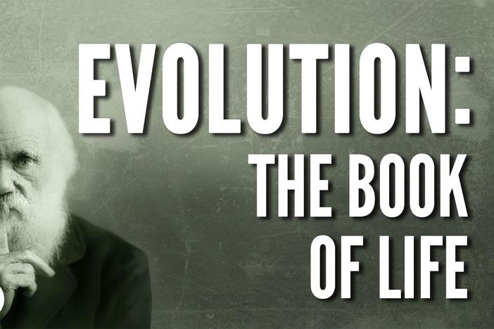 Evolution: The Book Of Life: asset-mezzanine-16x9