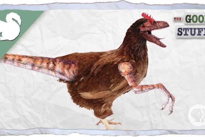 Can We Make a Pet Dinosaur?: asset-mezzanine-16x9