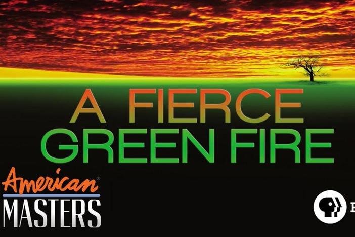 A Fierce Green Fire: asset-mezzanine-16x9