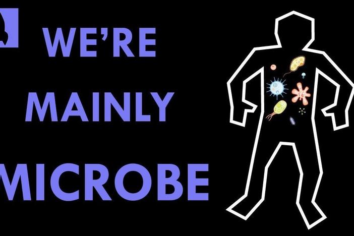 We're Mainly Microbe: Meet Your Microbiome: asset-mezzanine-16x9