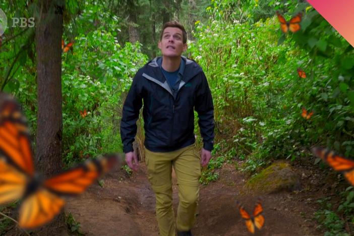 Unraveling the Great Butterfly Migration Mystery: asset-mezzanine-16x9