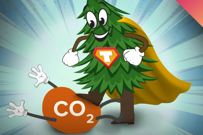 Can Trees Really Fight Climate Change?: asset-mezzanine-16x9