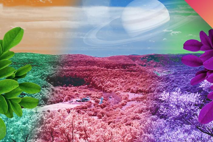 What If We Could See Nature In Infrared?: asset-mezzanine-16x9