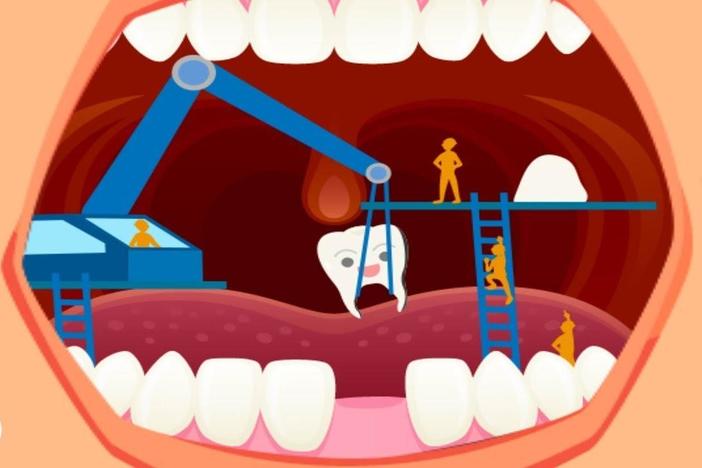 Where Do Teeth Come From?: asset-mezzanine-16x9