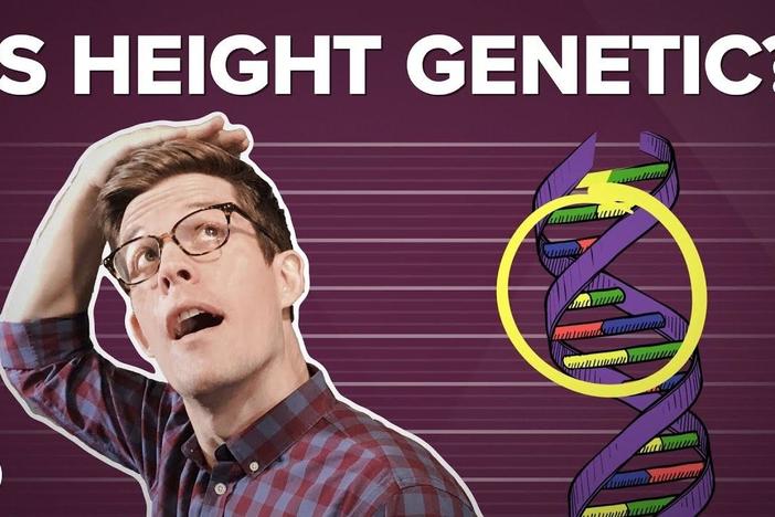 Is Height Genetic?: asset-mezzanine-16x9