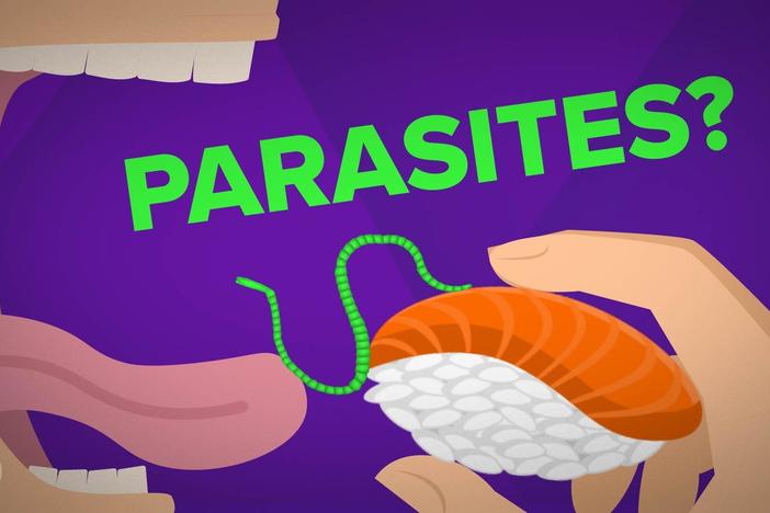 Will You Still Eat Raw Fish After Watching This Video?: asset-mezzanine-16x9