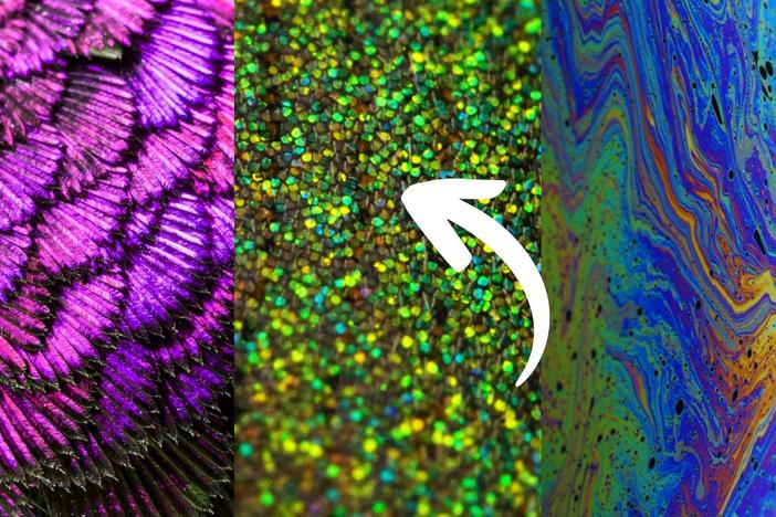 What Makes Birds, Beetles, and Bubbles Shine So Beautifully?: asset-mezzanine-16x9