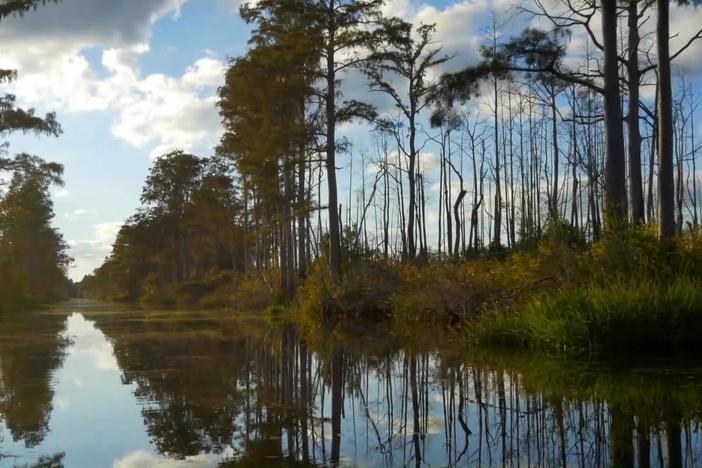 Okefenokee Destiny/Everglades: asset-mezzanine-16x9