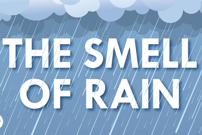 Where Does the Smell of Rain Come From?: asset-mezzanine-16x9