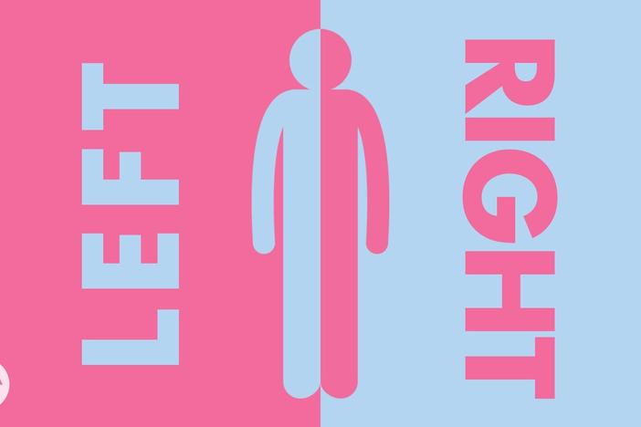 How Your Body Knows Left From Right: asset-mezzanine-16x9