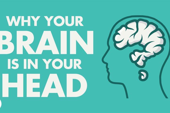 Why Is Your Brain Is In Your Head: asset-mezzanine-16x9