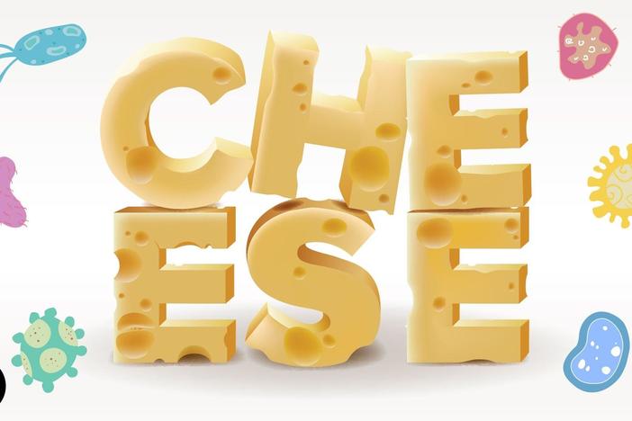 The Delicious Science of Cheese: asset-mezzanine-16x9