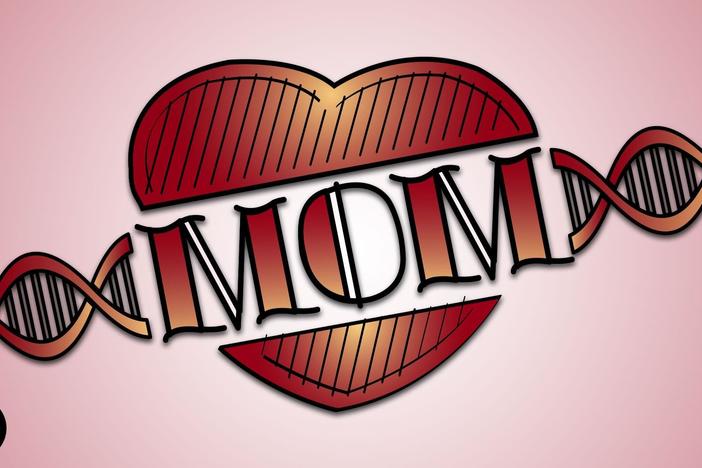 Your Mom is LITERALLY Part Of You!: asset-mezzanine-16x9