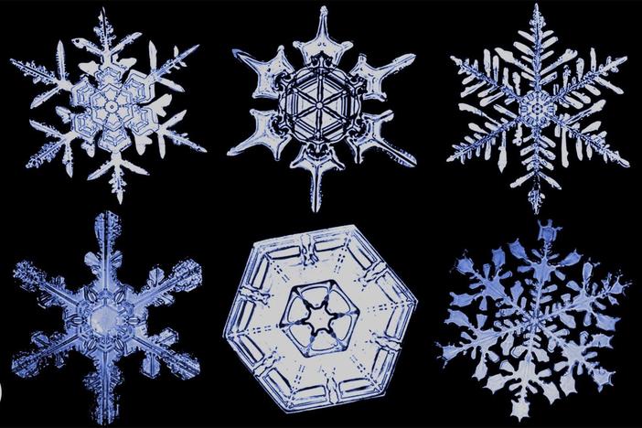 The Science of Snowflakes: asset-mezzanine-16x9