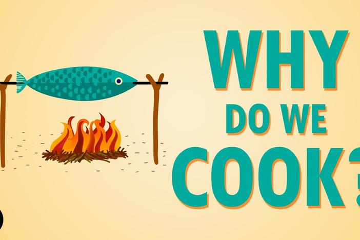 Why Do We Cook?: asset-mezzanine-16x9