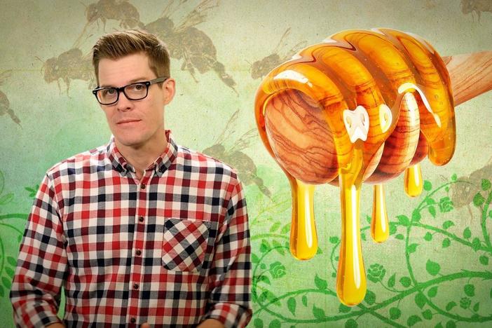 How Do Bees Make Honey?: asset-mezzanine-16x9