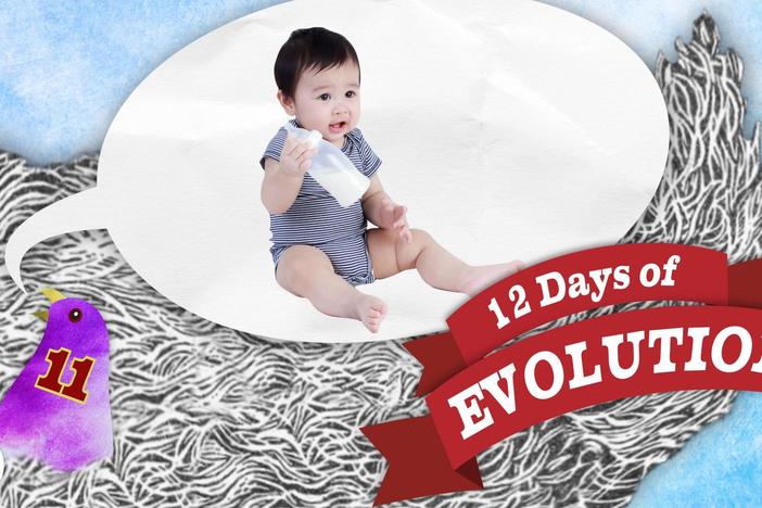 Are Humans Still Evolving? 12 Days of Evolution #11: asset-mezzanine-16x9