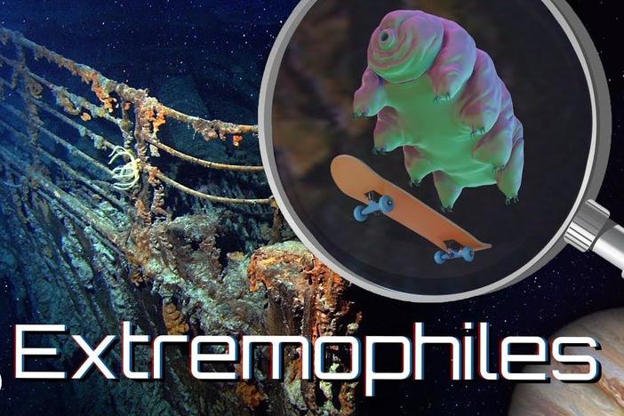 The Most Extreme Life Forms On Earth… And Beyond?: asset-mezzanine-16x9