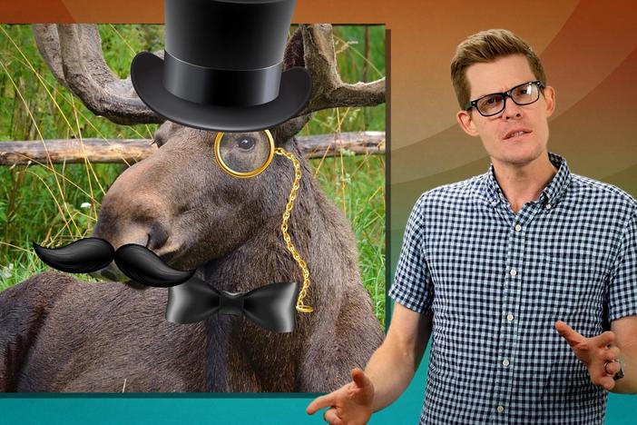 Why Don't Other Animals Wear Glasses?: asset-mezzanine-16x9