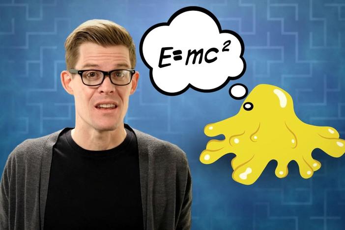 Are You Smarter Than A Slime Mold?: asset-mezzanine-16x9