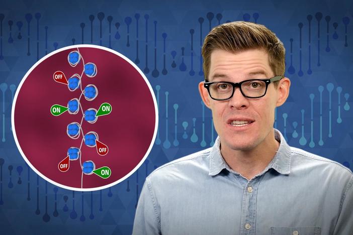Is Epigenetic Inheritance Real?: asset-mezzanine-16x9