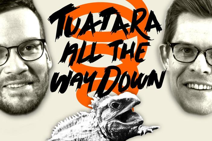 Tuatara Time! – Face To Face With A Living Fossil!: asset-mezzanine-16x9