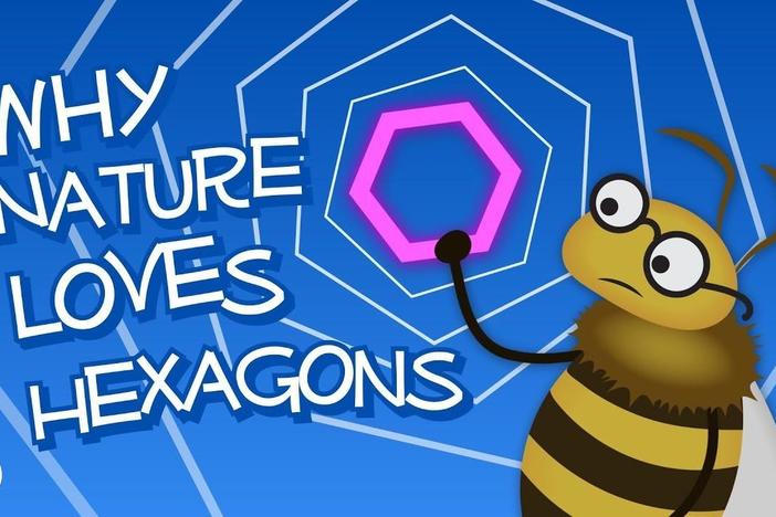 Why Nature Loves Hexagons (featuring Infinite Series!): asset-mezzanine-16x9