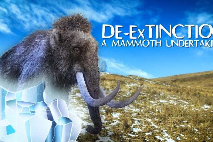 De-Extinction: A Mammoth Undertaking: asset-mezzanine-16x9
