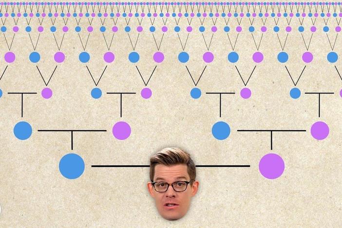 Are We All Related?: asset-mezzanine-16x9