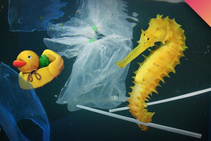 How Much Plastic is in the Ocean?: asset-mezzanine-16x9