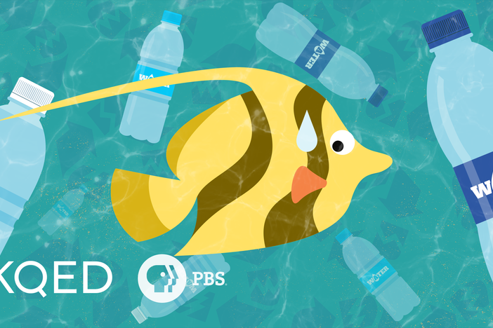 Would Banning Plastic Bottles Help or Hurt the Planet?: asset-mezzanine-16x9