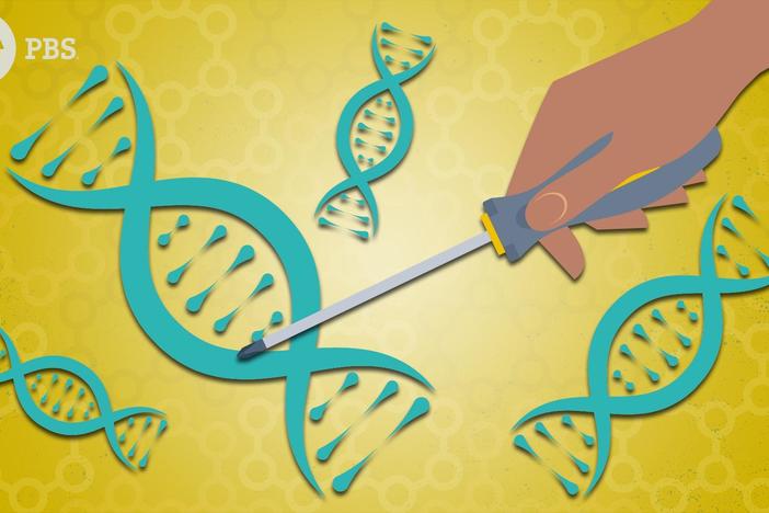 Gene Editing & CRISPR: How Far Should We Go?: asset-mezzanine-16x9