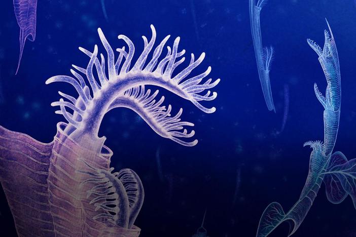 The Huge Extinctions We Are Just Now Discovering: asset-mezzanine-16x9
