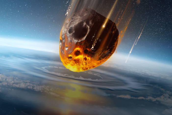 How a Mass Extinction Changed Our Brains: asset-mezzanine-16x9