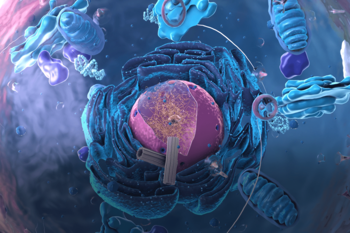Did An Ancient Pathogen Reshape Our Cells?: asset-mezzanine-16x9