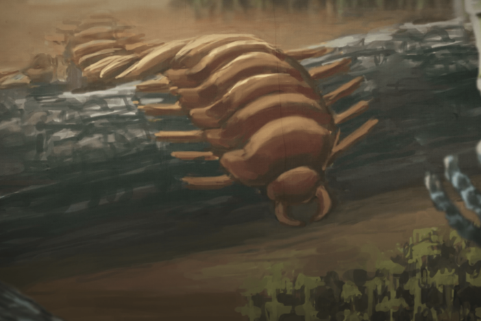 When Giant Millipedes Reigned: asset-mezzanine-16x9