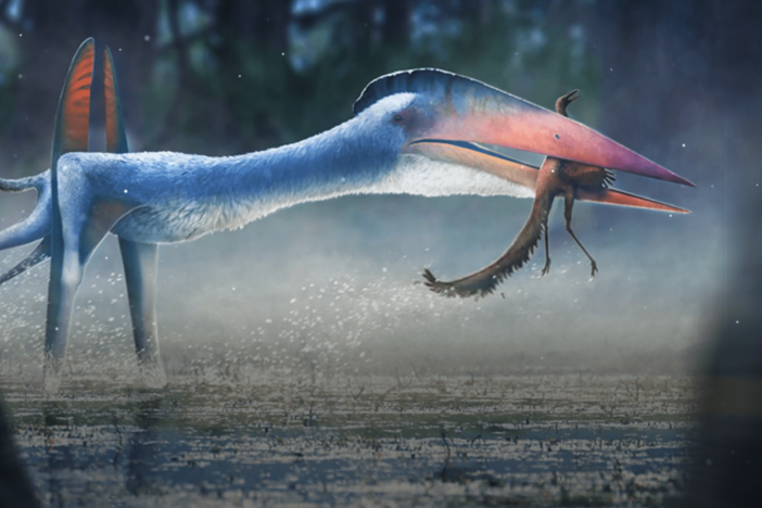 When a Giant Pterosaur Ruled the European Islands: asset-mezzanine-16x9