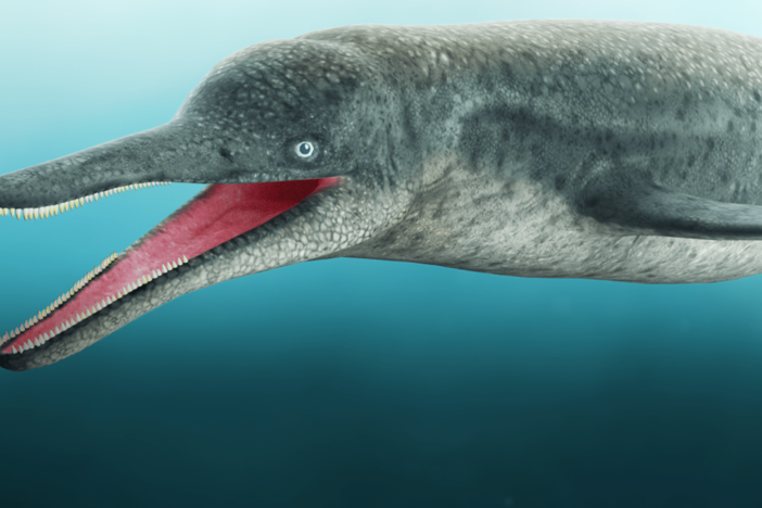 The Sudden Rise of the First Colossal Animal: asset-mezzanine-16x9