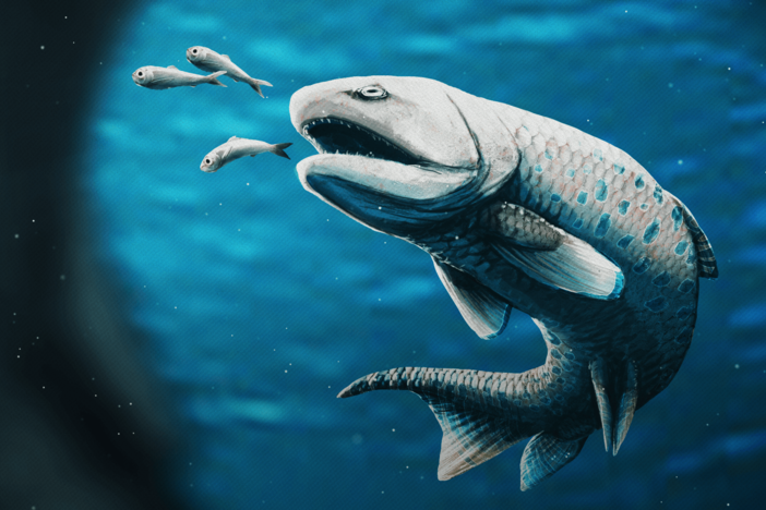 How Vertebrates Got Teeth... And Lost Them Again: asset-mezzanine-16x9