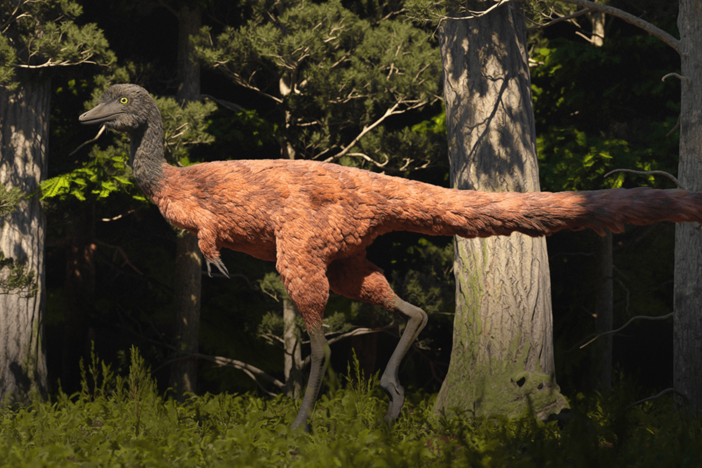 Did Eating Insects Shrink These Dinos?: asset-mezzanine-16x9