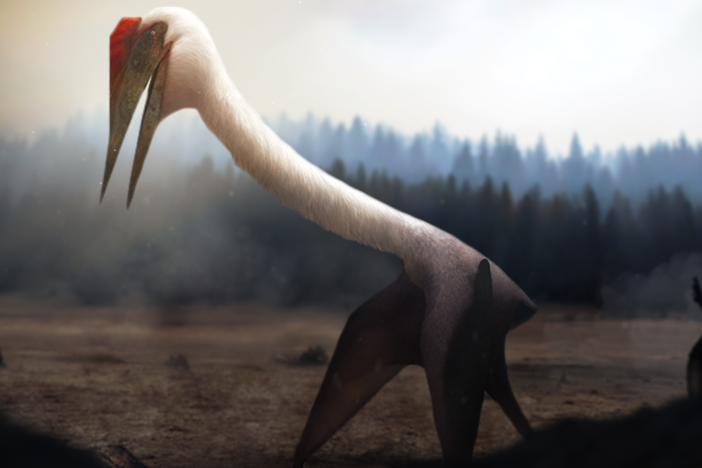 When Pterosaurs Walked: asset-mezzanine-16x9
