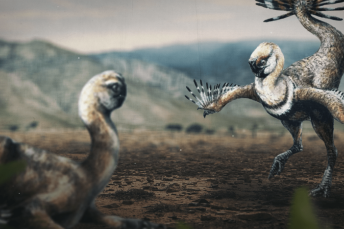 How Dinosaurs Coupled Up: asset-mezzanine-16x9