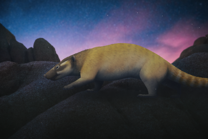 When Mammals Only Went Out At Night: asset-mezzanine-16x9