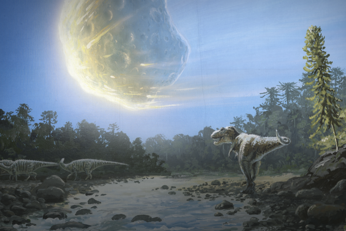 How a Mass Extinction Event Created the Amazon: asset-mezzanine-16x9