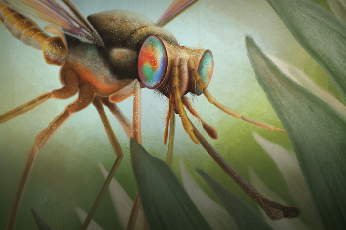 How Pollination Got Going Twice: asset-mezzanine-16x9